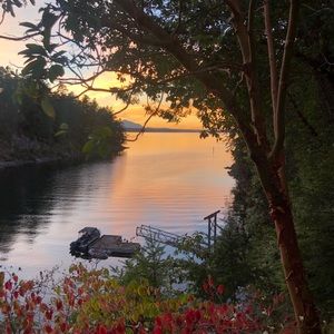 Meet your Posher, Patty